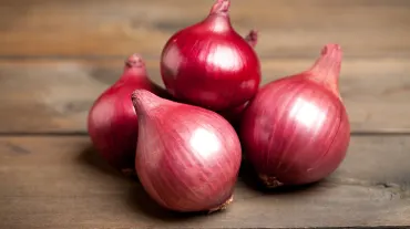 Onion